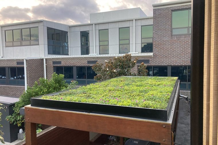 Carport met een sedumdak op houten staanders