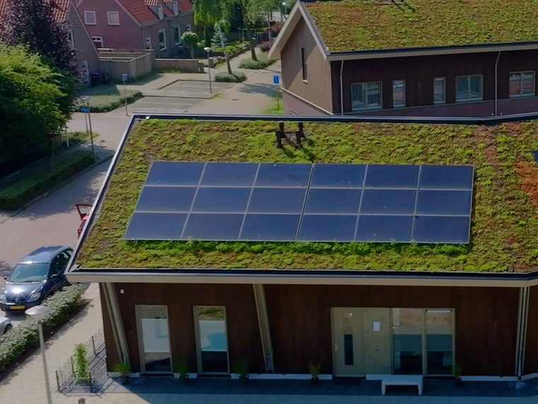 Gebouw met een sedumdak en zonnepanelen in een dorpskern