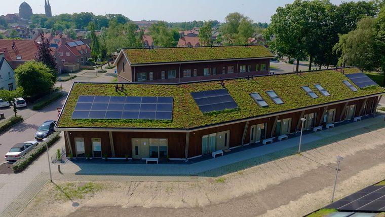 Lange rij woningen met een sedumdak, zonnepanelen en dakramen