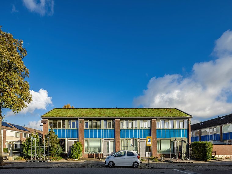 Rij woningen met een doorlopend groen dak