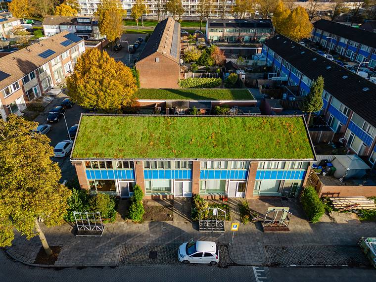 Rij woningen met een groen dak in de herfst, van bovenaf gezien