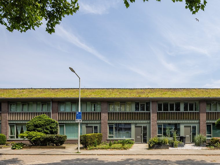 Rij woningen met een sedumdak over de hele lengte van het dak