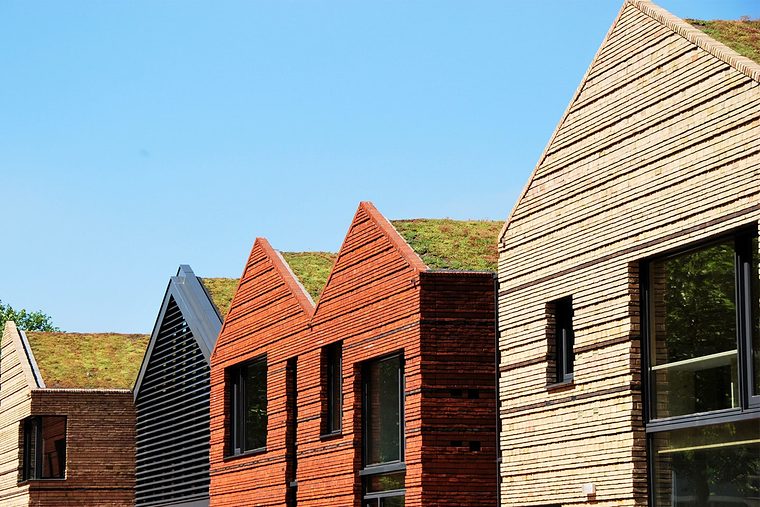 School met puntgevels en sedum op de schuine daken