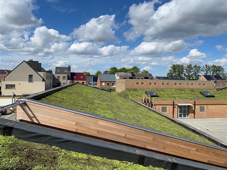 Schuin groen dak van een school met een houten rand