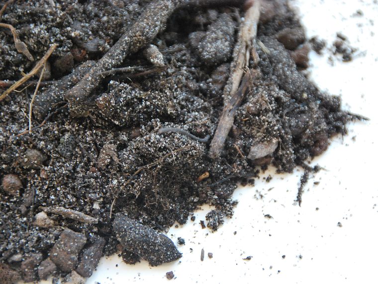 Daktuinsubstraat met lava en organisch materiaal