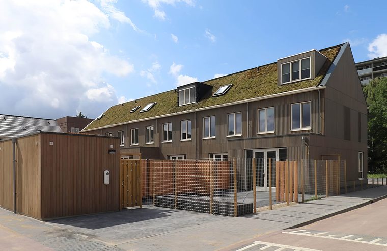 Houten woningen met een steil sedumdak en dakkapellen
