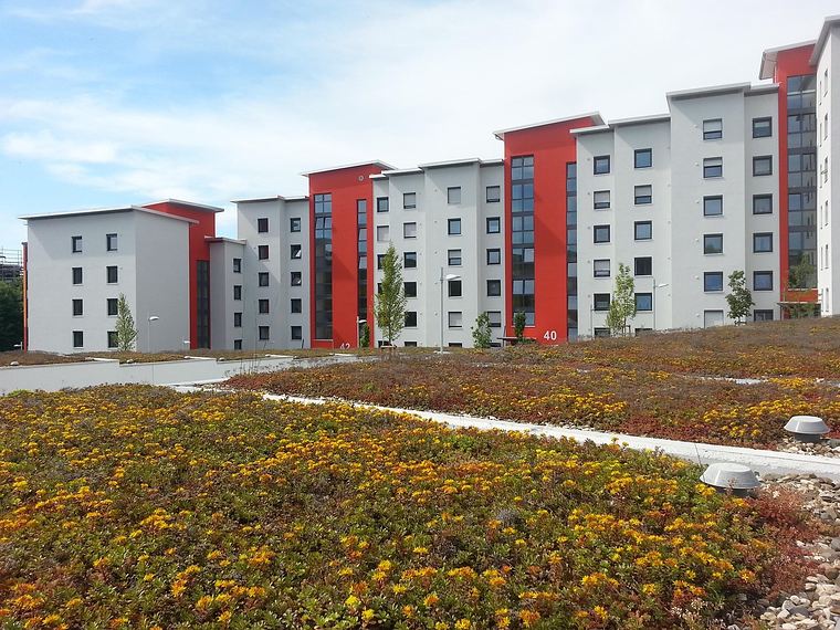 Sedumdak in geel en oranje met appartementengebouwen erachter