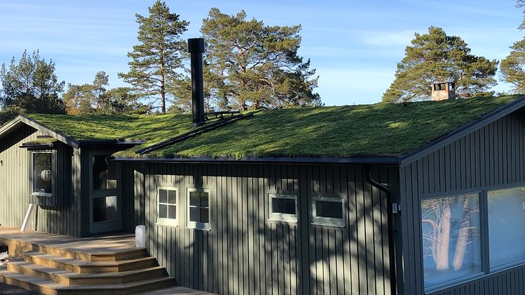 Houten huis met een sedumdak tussen de dennen
