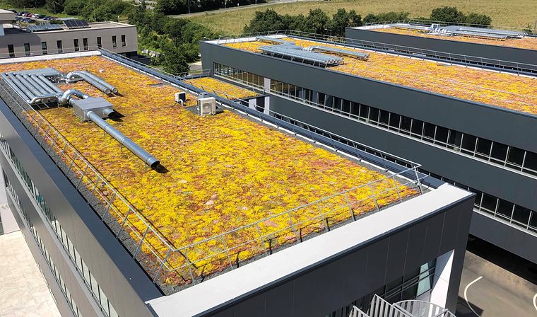 Kantoorgebouw met een geel bloeiend sedumdak, van bovenaf gezien