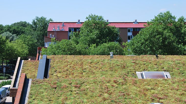 Plat sedumdak met een lichtkoepel en appartementen tussen de bomen
