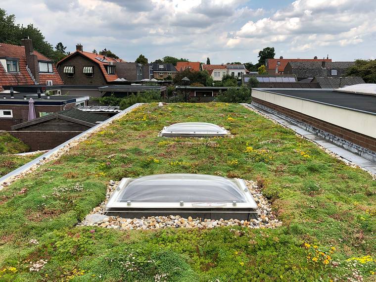 Plat sedumdak met twee lichtkoepels, met de daken van een woonwijk erachter