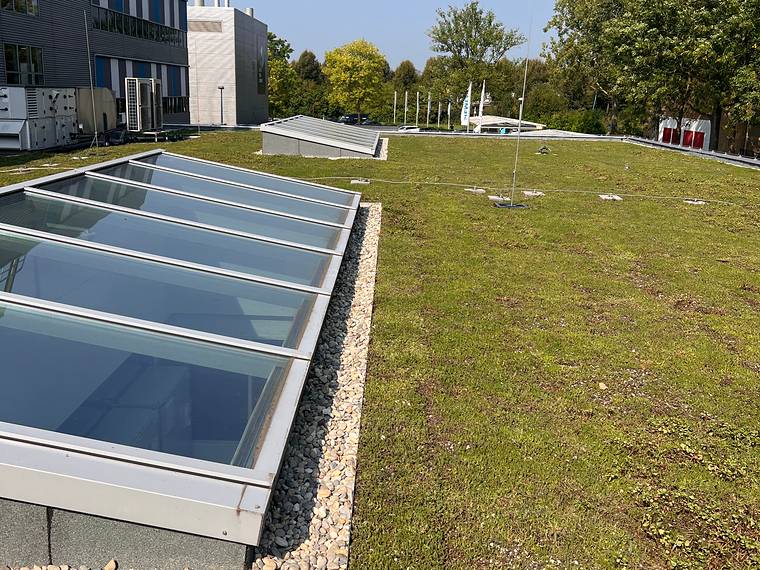 Sedumdak naast een lichtstraat met een grindstrook