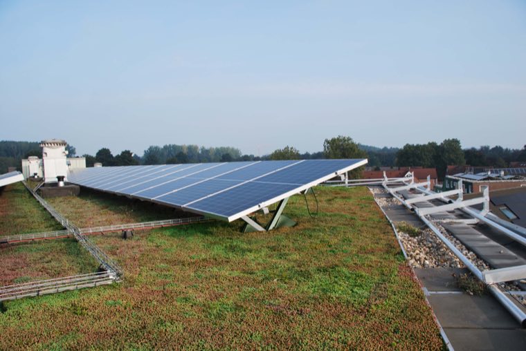Sedumdak met zonnepanelen op een plat dak