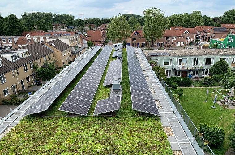 Rijen zonnepanelen op een sedumdak midden in een woonwijk