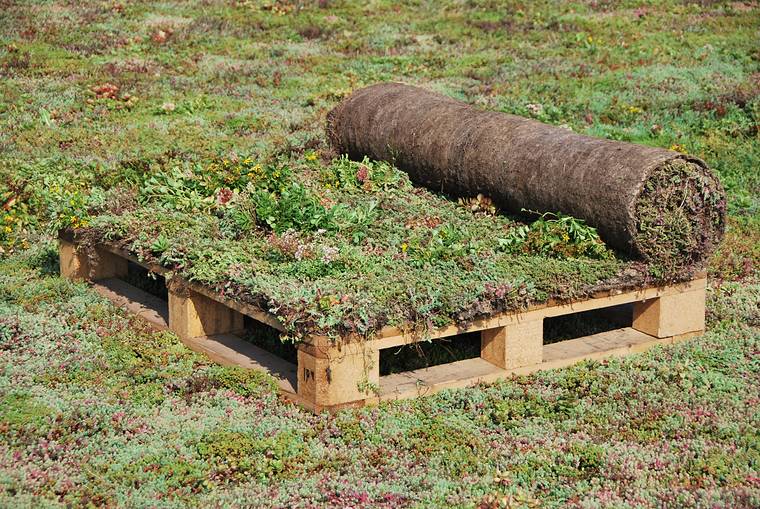 Opgerolde sedummat op een pallet, klaar om te leggen