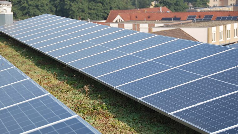 Zonnepanelen op een sedumdak, met de daken van een woonwijk erachter